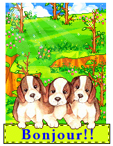 Gif bonjour chiens